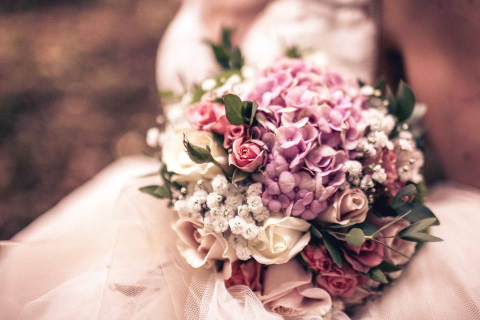 Max of pics - Maxime Dollo