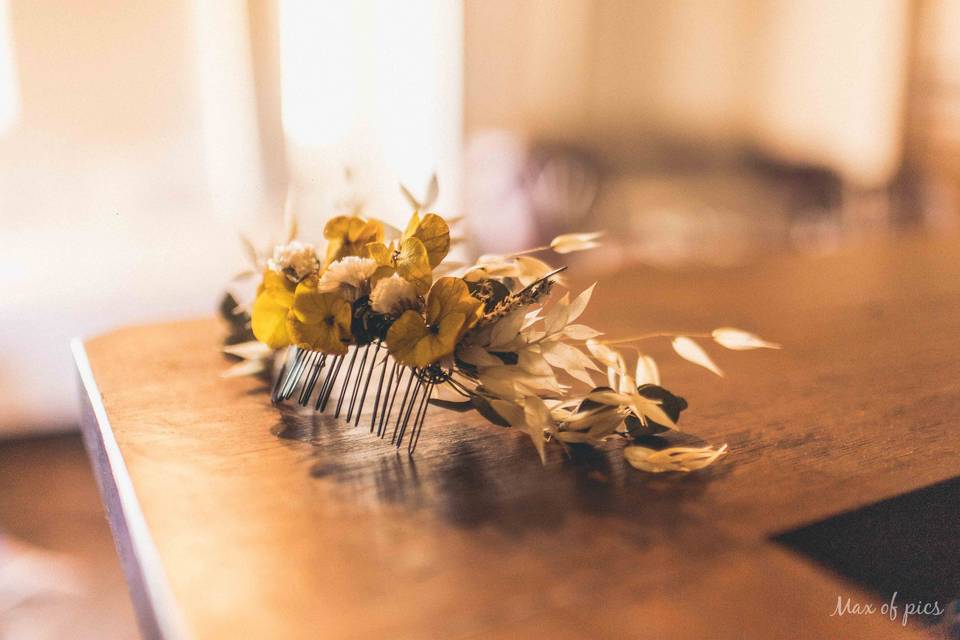 Max of pics - Maxime Dollo