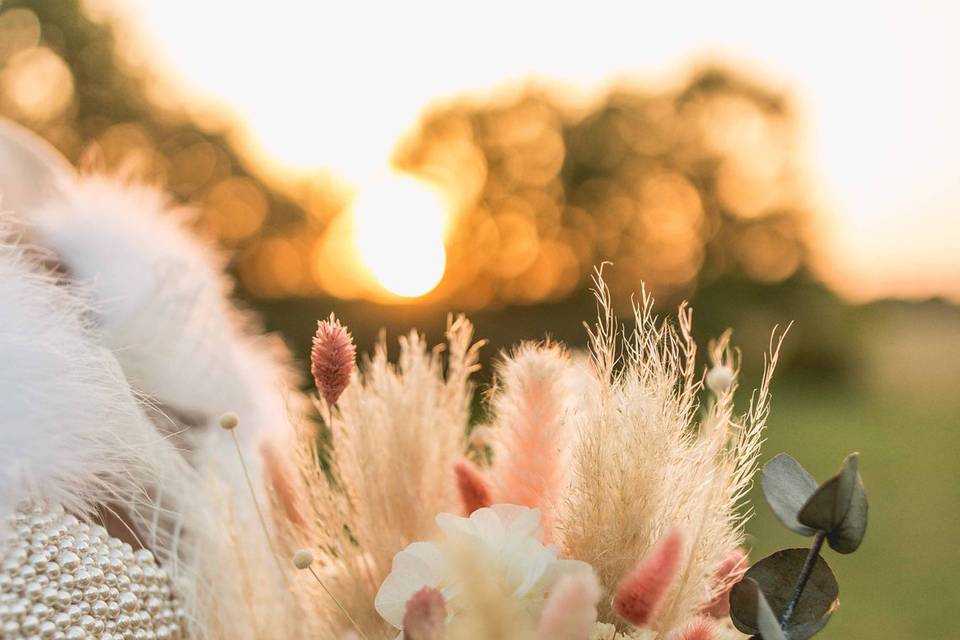 Max of pics - Maxime Dollo