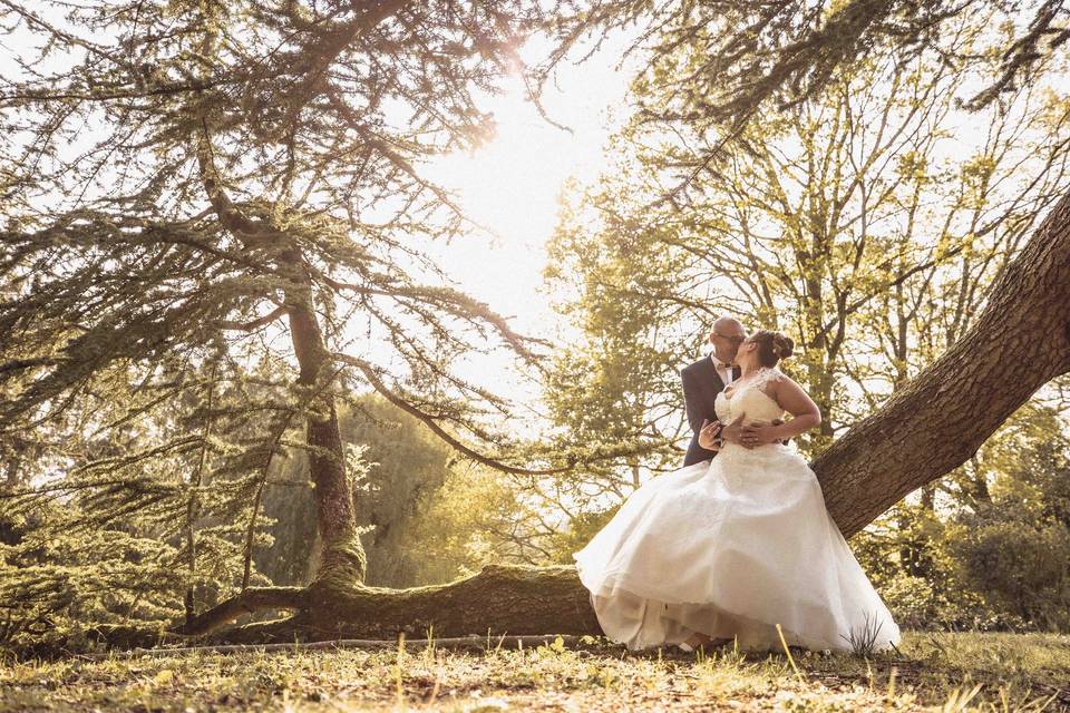 Max of pics - Maxime Dollo