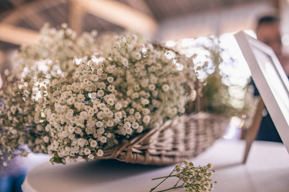 Max of pics - Maxime Dollo