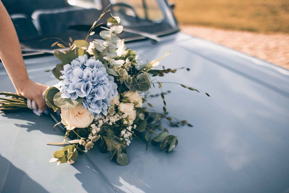 Max of pics - Maxime Dollo