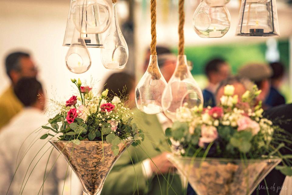 Max of pics - Maxime Dollo