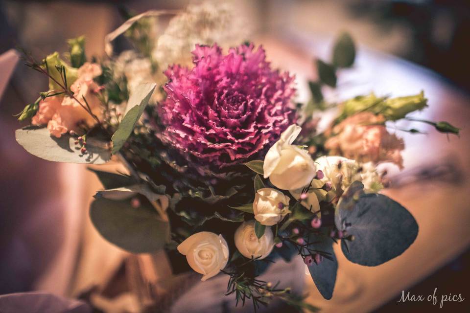 Max of pics - Maxime Dollo