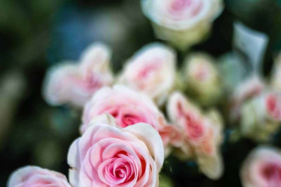 Fleurs