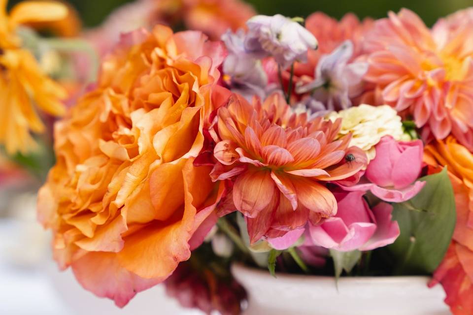 Fleurs
