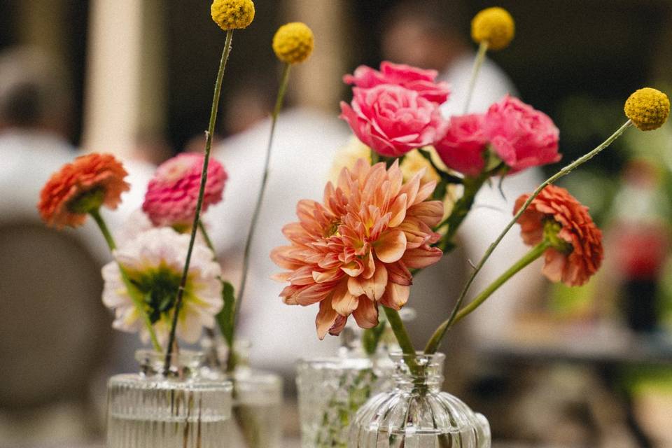 Fleurs