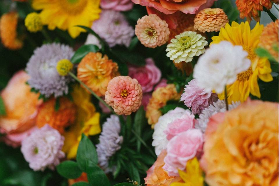 Fleurs