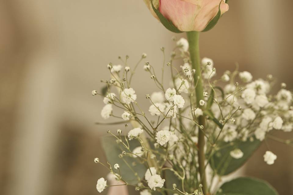 Une belle rose.