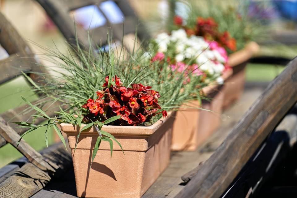 Dees felurs et des pots