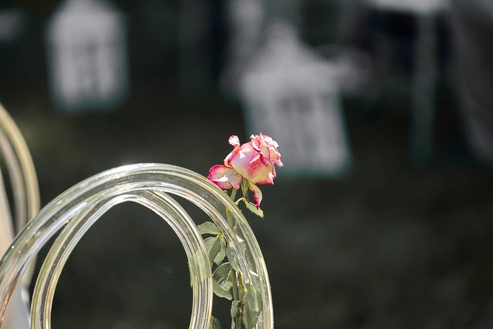 Une fleur.