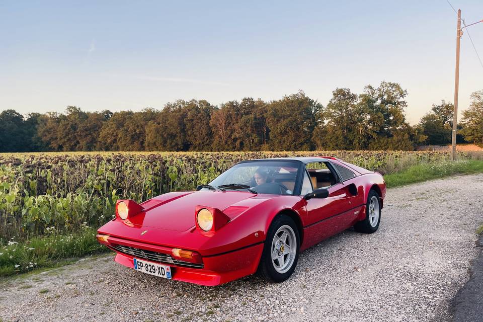 Ferrari 308 GTS 1978