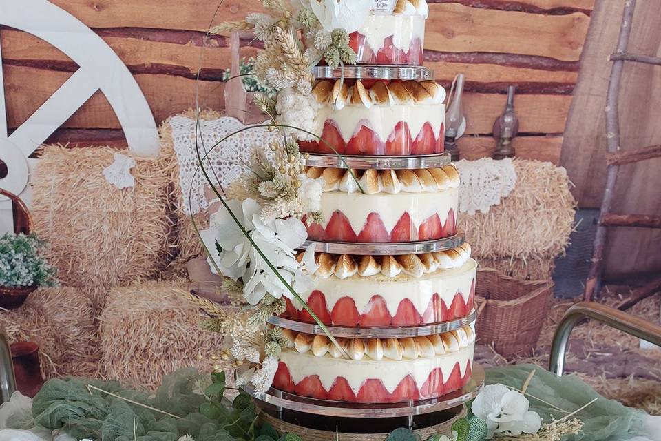 Ensemble de fraisiers 100parts