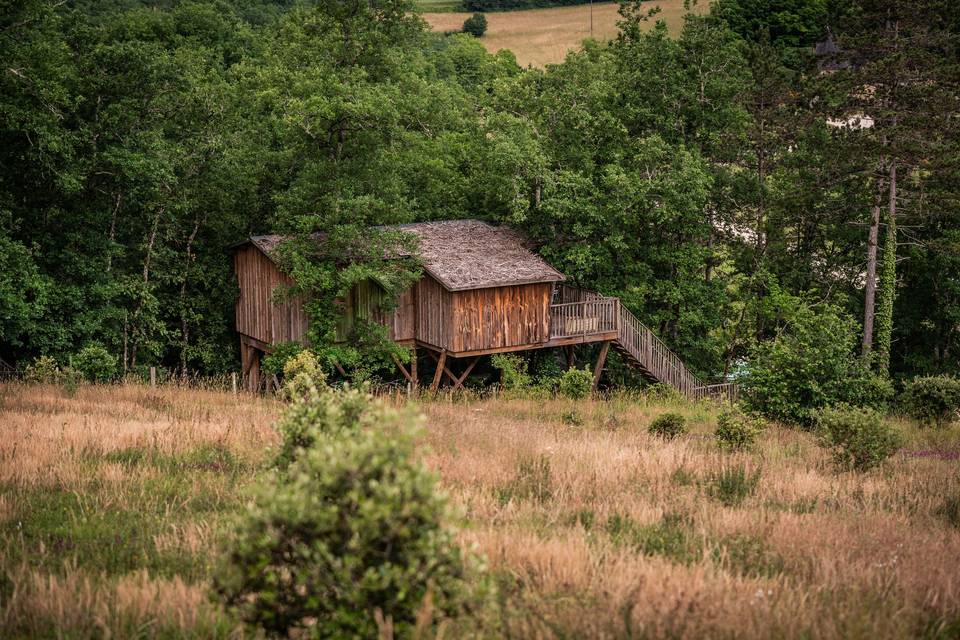 Cabane