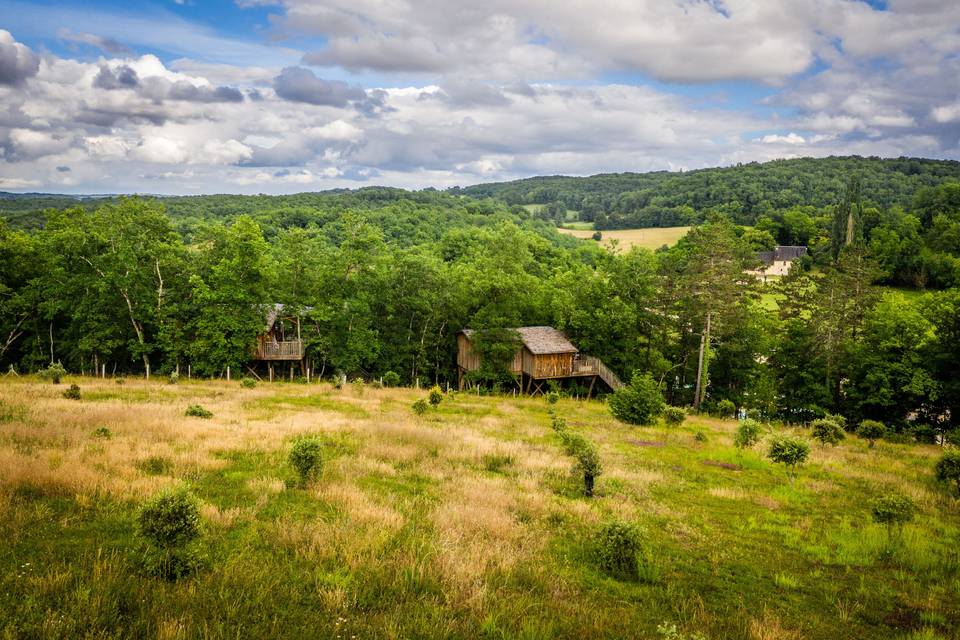 Cabane