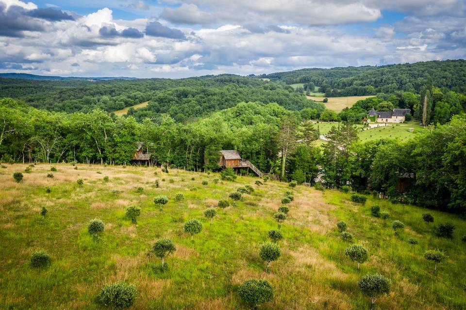 Cabane