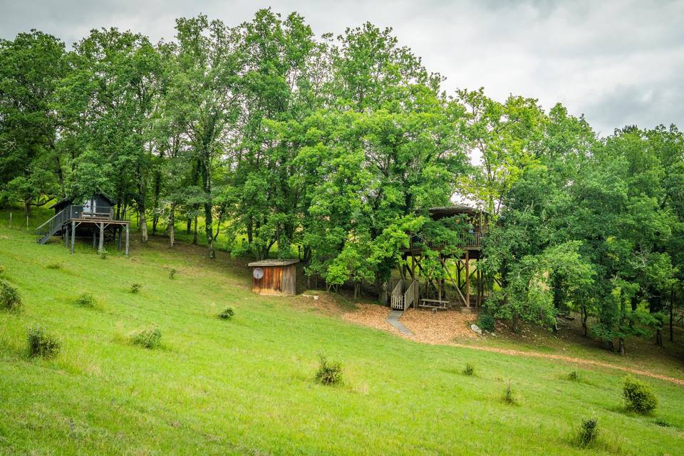 Cabane