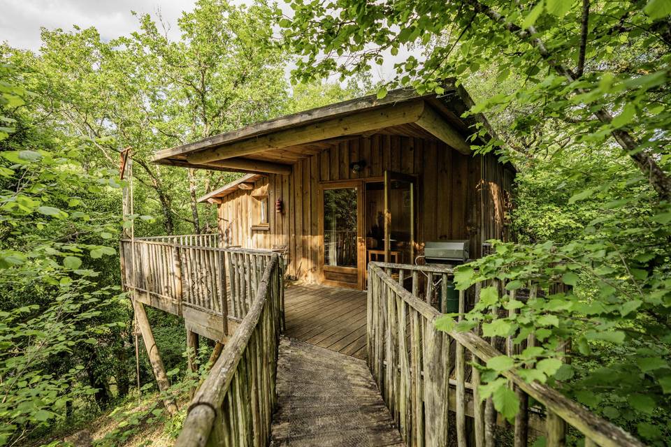 Cabane