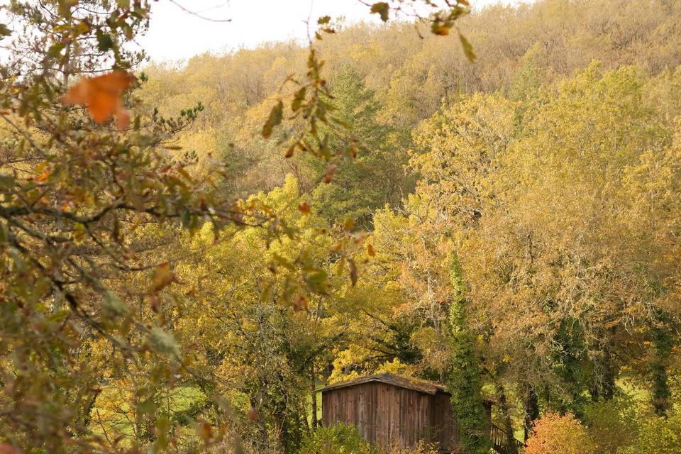 Cabane