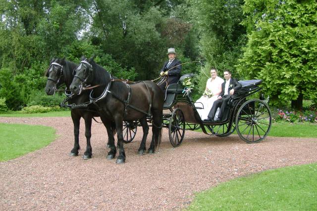 Association d'Attelage de loisir et de tradition