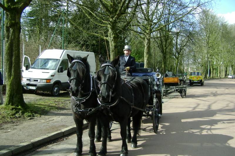 Association d'Attelage de loisir et de tradition