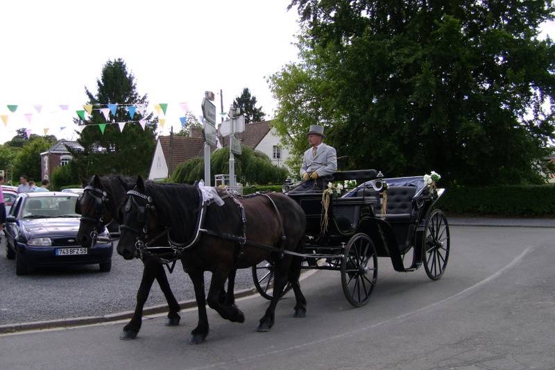 Association d'Attelage de loisir et de tradition