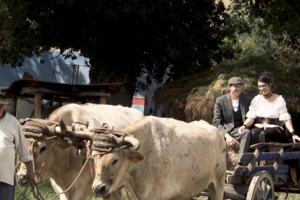 Une entrée surprenante