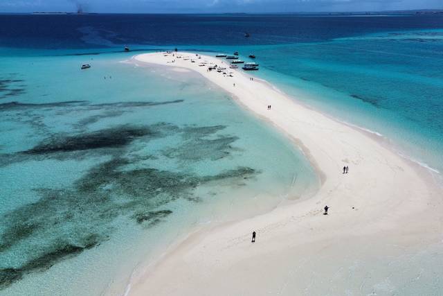 S'échapper à Zanzibar