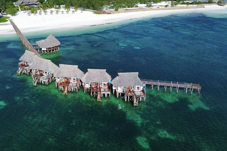 S'échapper à Zanzibar