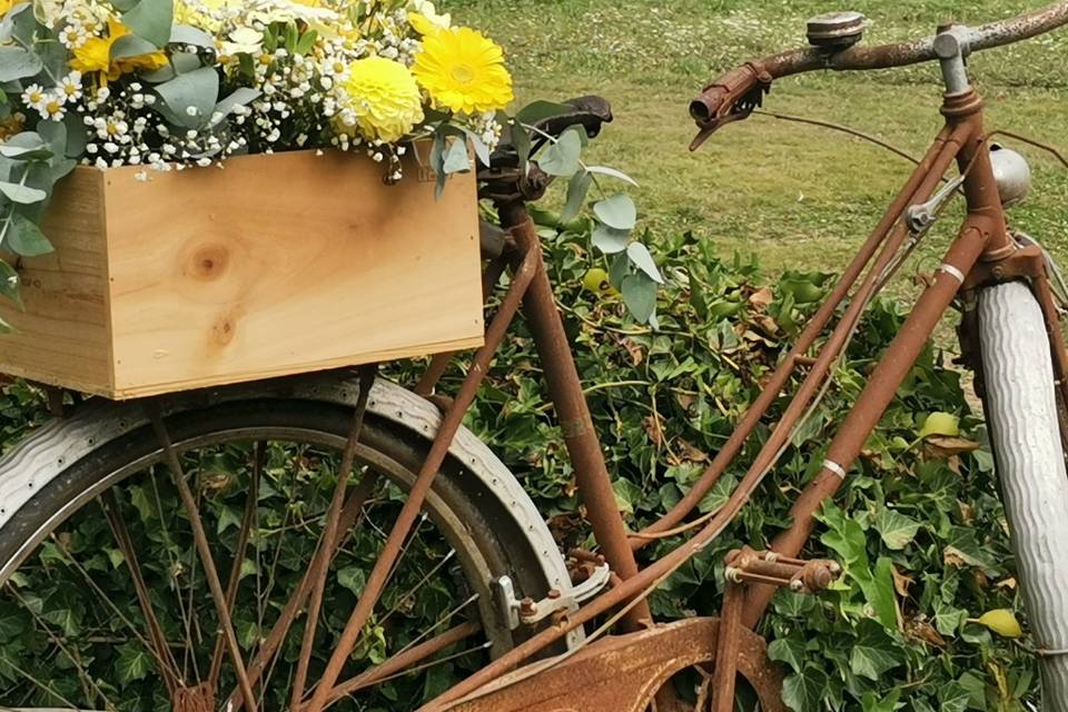 Velo
