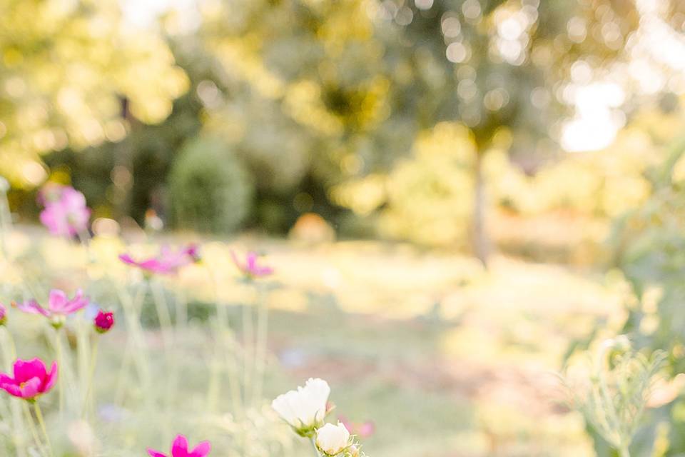 Fleurs Domaine