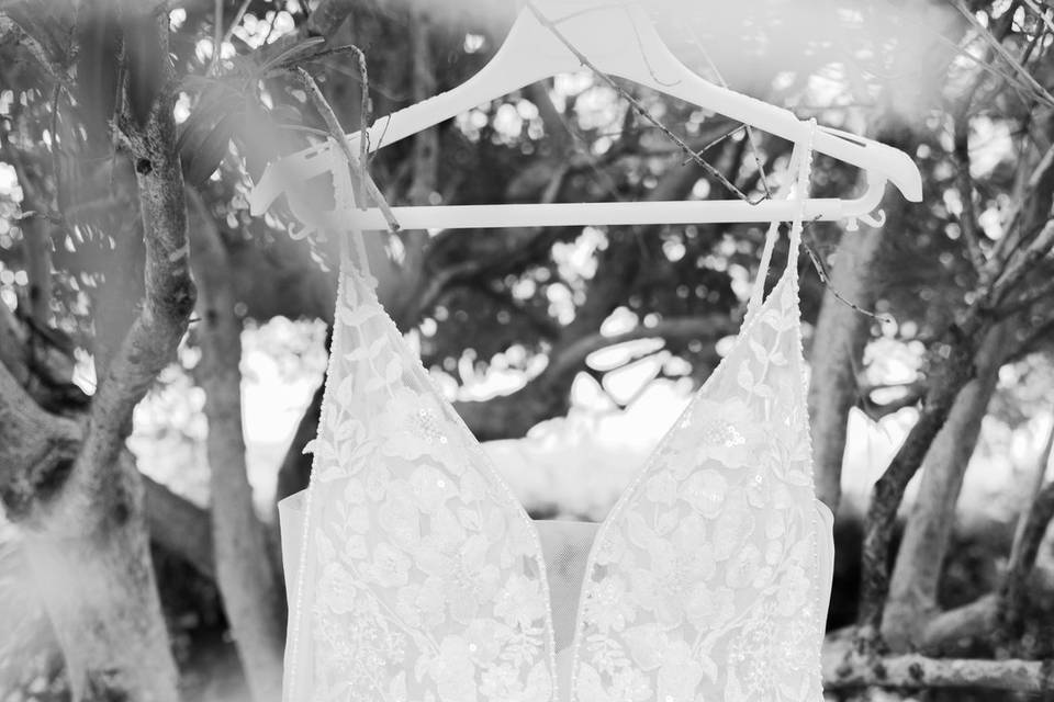Tatie photographie
