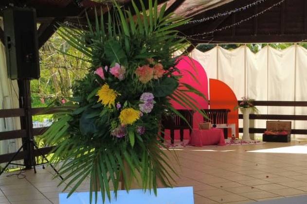 Coloré, orange, rose et violet