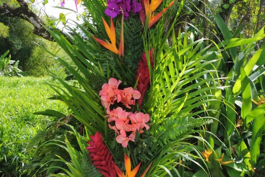 Coloré, orange, rose et violet