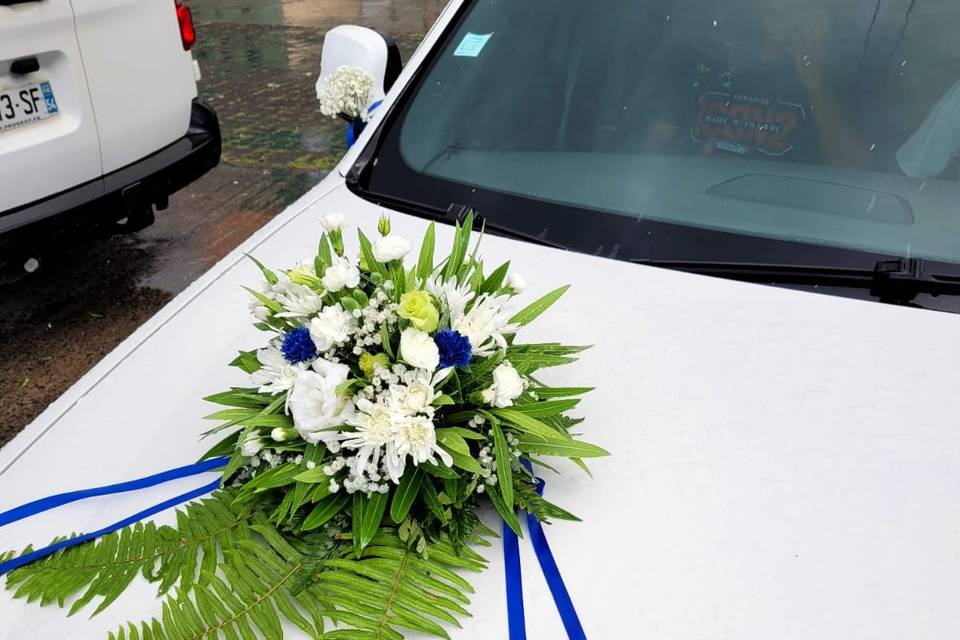 Bleu roi, or et blanc