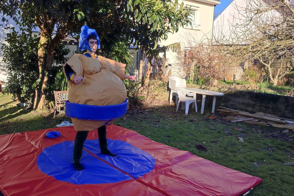 Costume sumo