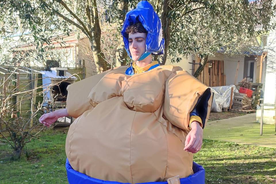 Costume sumo