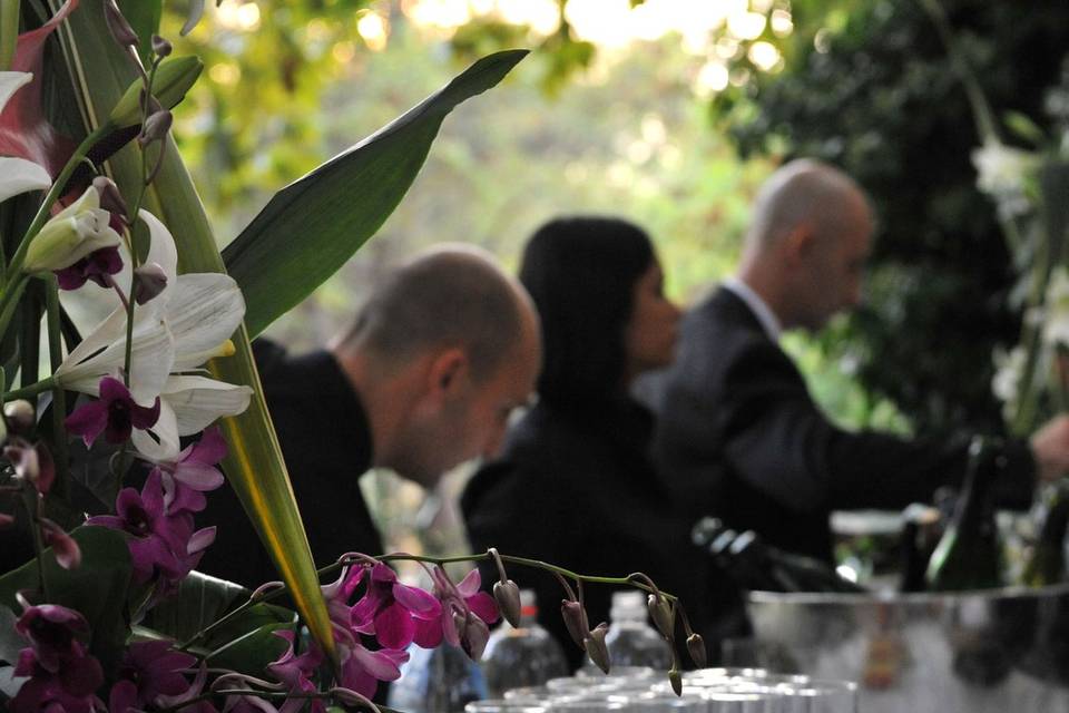 Buffet terrasse