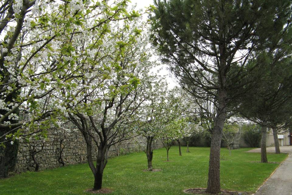 L'Oasis de Belfond