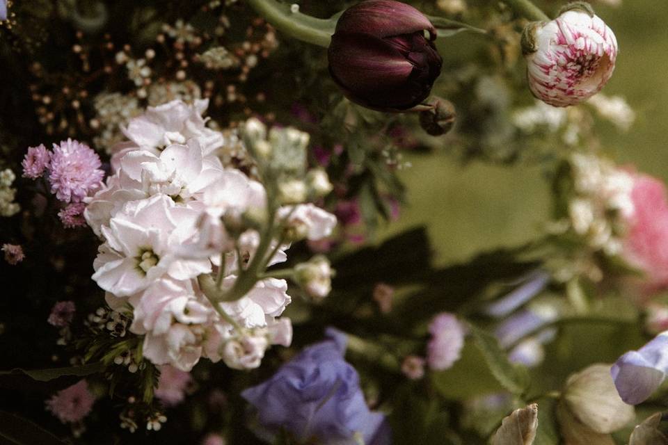 Fleurs