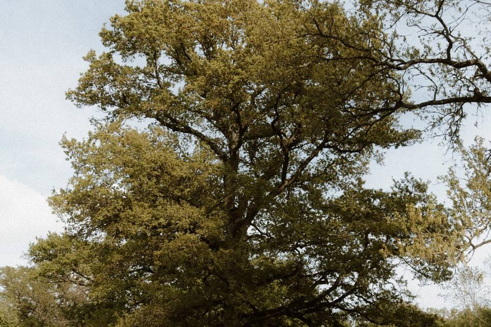 Cérémonie