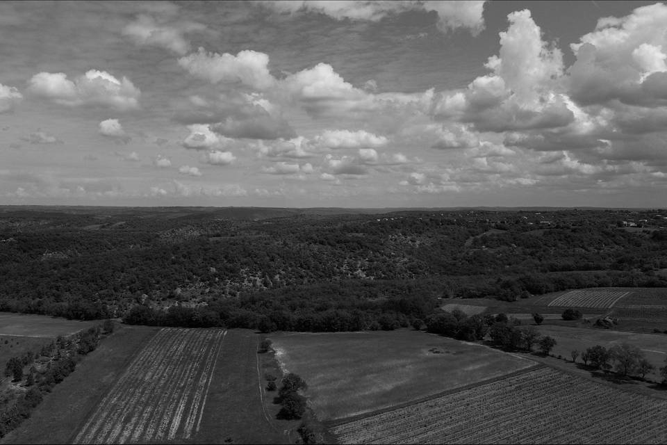 Drone, vignes, noir et blanc