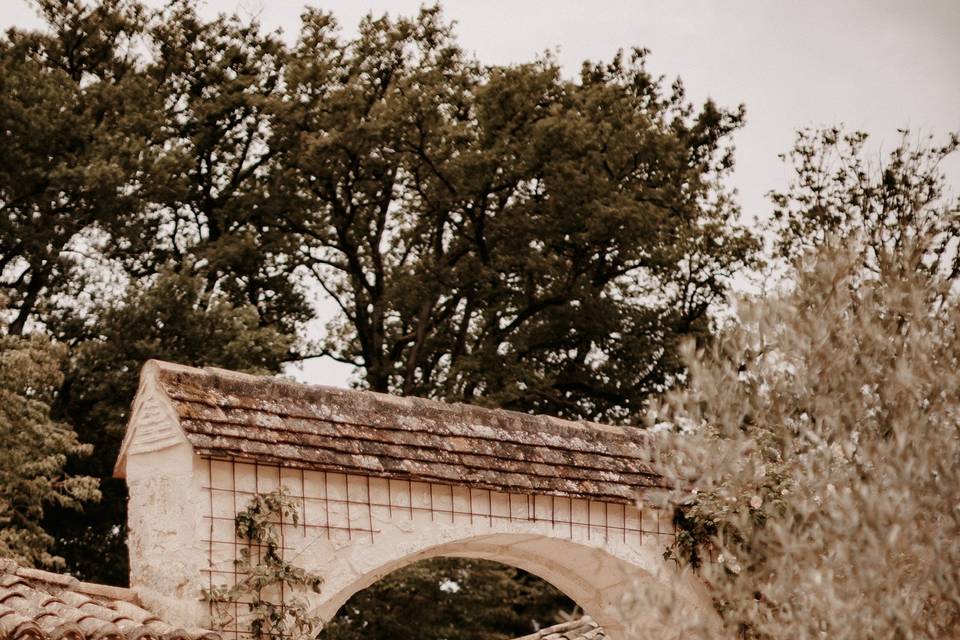 Photos de Alex Therry