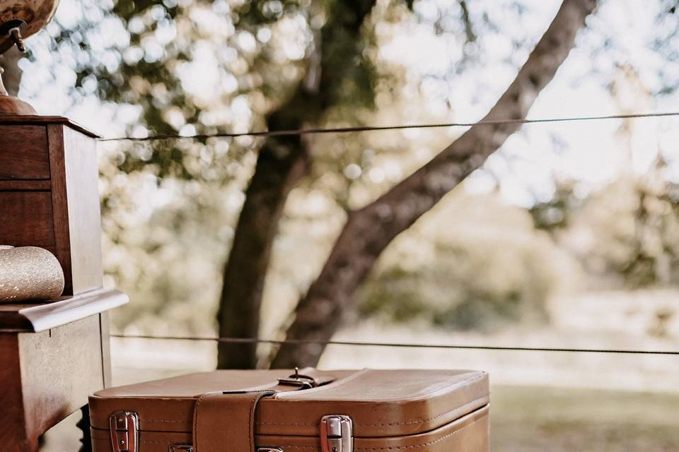 Photos de Alex Therry