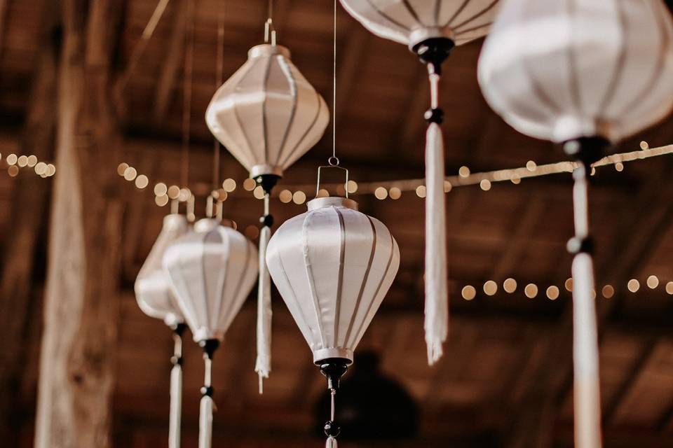 Photos de Alex Therry