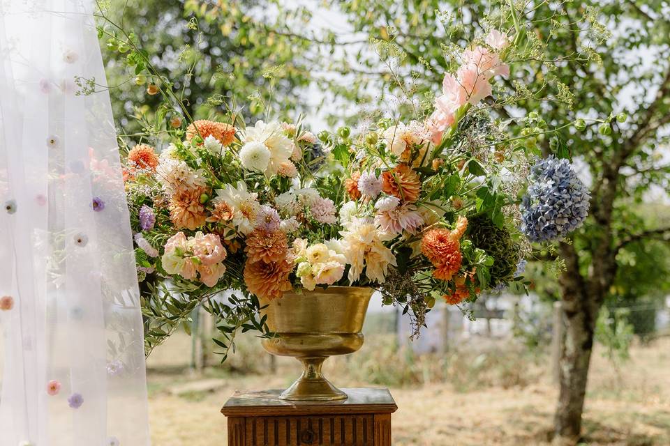 Photos de Lina Bernard