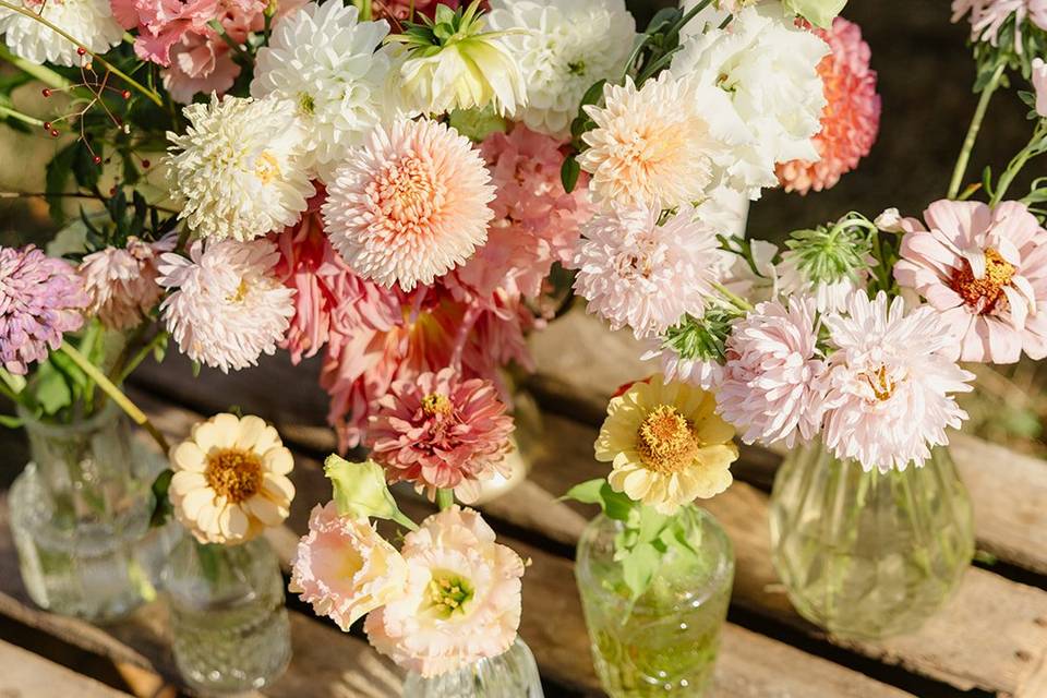 Photos de Lina Bernard