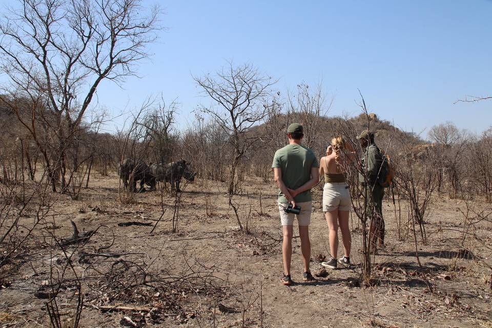 Voyage au Zimbabwe
