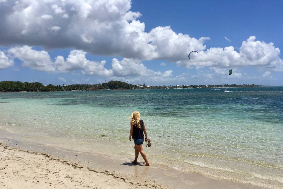 Plage aux Caraïbes