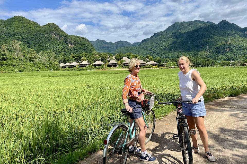 Vélo dans les rizières